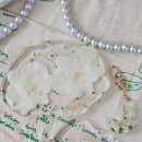 블루밍 플라워 앤 가든 이미지