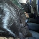 SH상사 | 우리는 여행을 떠나자