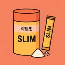 건강이네 | 락토핏 슬림 후기, 유산균 추천, 다이어트 유산균, 장 건강 관리, 가르시니아 효과
