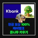 케이피싱 | 케이뱅크 돈나무 키우기 하는 법부터 수익 꿀팁까지, 현금 보상 100% 분석