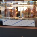 도야족발 영천점