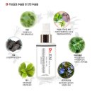 (마감) ♥ Dr.EM 천연샴푸, 어성초 탈모샴푸, 헤어토닉, 폼클렌저 3차 오픈 ♥ 추석 선물 세트 추천...