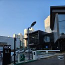 [경기/오산] 스타벅스 오산원동DT점 프리퀀시 추가증정 예약기간 바닐라빈푸딩 신메뉴 후기까지