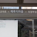 양주국민체육센터 앞 도로 이미지