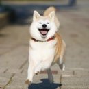 솔로오프 이미지