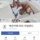 퍼피아일랜드 이미지