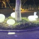 탐라문화광장 이미지