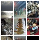 바람아래솔