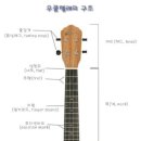 우쿨렐레(기초) 이미지