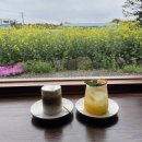 P-7741 | 제주 2박3일 여행 3일차, 함덕고등어쌈밥과 이에르바 카페