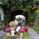 허브빌리지(파머스테이블) 이미지