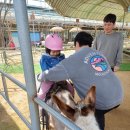 동키 | 홍천 놀거리 홍천동키마을 후기, 아이와 함께 정말 즐거웠던 가족 나들이 체험