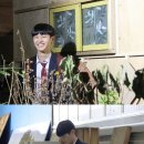짝퉁 티브이데일리