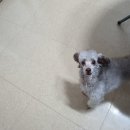 별님달님 이미지