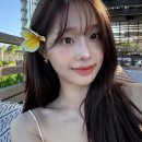 방화역 | (후기) 츄 머리색으로 유명한 모카 브라운/매트 브라운 염색 후기 - 로이드밤 방화역점