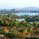 일산호수공원 이미지