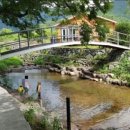 거제옥산숲 이미지