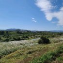 곡성 신기 이미지