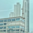 해피데이뷔페 | 통영 해피데이 웨딩홀 하객후기 뷔페 결혼식장