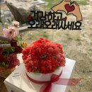 꽃품은 설기 이미지