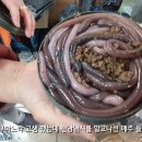 평지낚시