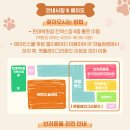 펫(PET)과 함께 이미지