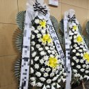 횡성대성병원 이미지