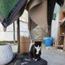 (주)선진 | 사천 맛집 선진공원 청마루 낙지볶음 정식