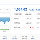 대현유화 이미지