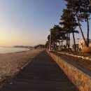 바다와자전거 이미지