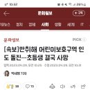 [속보]만취해 어린이보호구역 인도 돌진…초등생 결국 사망 이미지