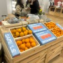 디저트 보안관 | [성수] 🍊귤디저트를 즐길 수 있는 귤메달x프리카 성수 팝업