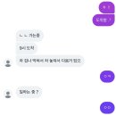 핑구펫 | 우리는 영원하지 않지만 여름 속 우리의 낭만은 영원한 마음으로