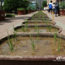 쌍정초등학교 이미지