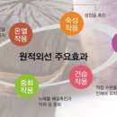 신곡 점핑다이어트