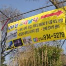 멍멍이 날다 이미지