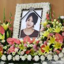 아이비303 이미지