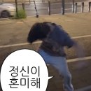 뽀모도로 이미지