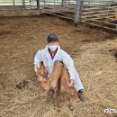 이순호농장 이미지