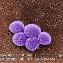 대항슈퍼 이미지