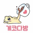 게코다방 - 양산시 금오12길 64 | 게코다방