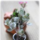 장호농장 이미지