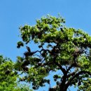 임실중앙요양병원 이미지