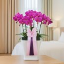 이지플라워 이미지