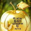 내여인 ㅡ진 성 노래ㅡ 2023년 신곡 ㅡ진성 이미지 ㅡ아름다운 영상 ㅡ가사 첨부 합니다ㅡ 이미지