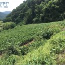 원통초등학교신덕분교장 이미지