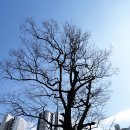 망포지하차도 이미지