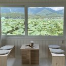 도화지(dohwaji) 이미지