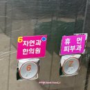 지방사약 자연과한의원 서면점 내돈내산 후기 (광고 x)