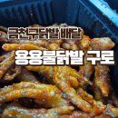 용용불닭발 - 21835 | 용용불닭발